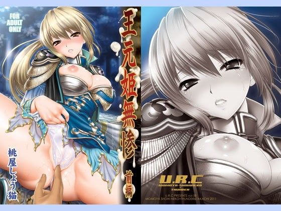 辱め【王元姫無惨 前編】