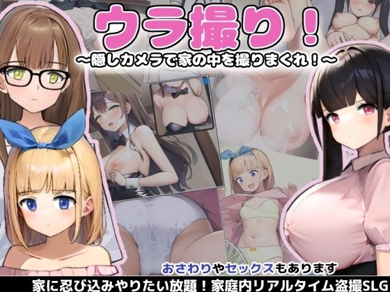 デモ・体験版あり【ウラ撮り 〜隠しカメラで家の中を撮りまくれ！〜】