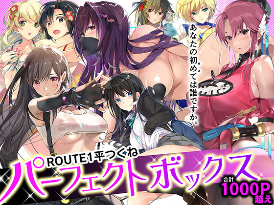 フェラ【ROUTE1 平つくね パーフェクトボックス】