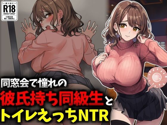 イラスト・CG集【同窓会で憧れのマドンナ的同級生とトイレえっちNTR】