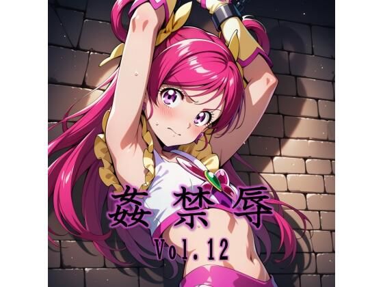 拘束【姦禁辱 vol.12】
